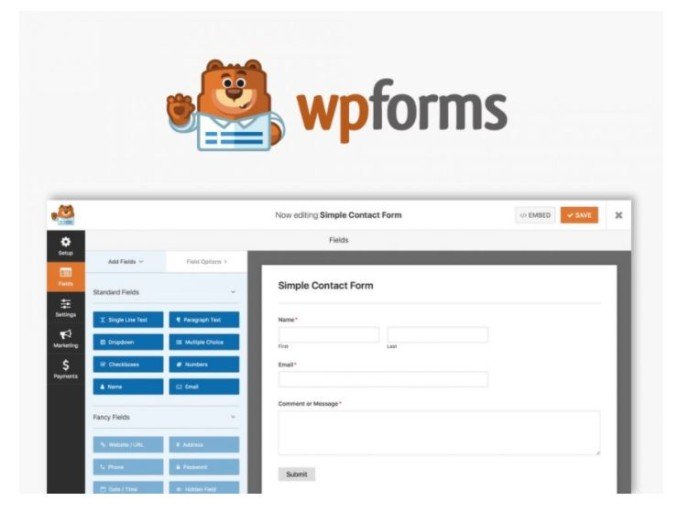 WPForms Pro Drag Drop WordPress Forms Theme Plugin