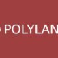 Polylang Pro – Making WordPress multilingual